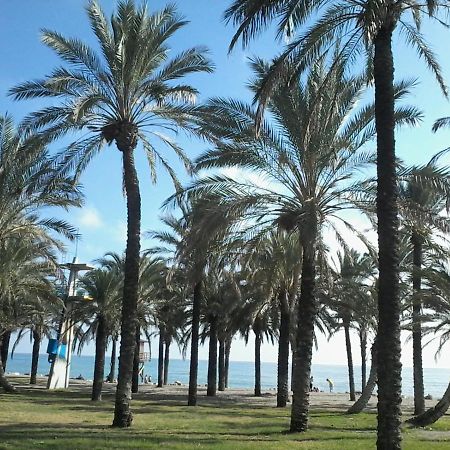 Estudio Costa Del Sol - 托雷莫利诺斯 外观 照片