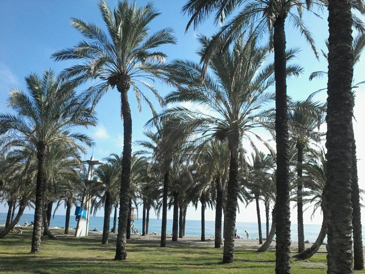 Estudio Costa Del Sol - 托雷莫利诺斯 外观 照片