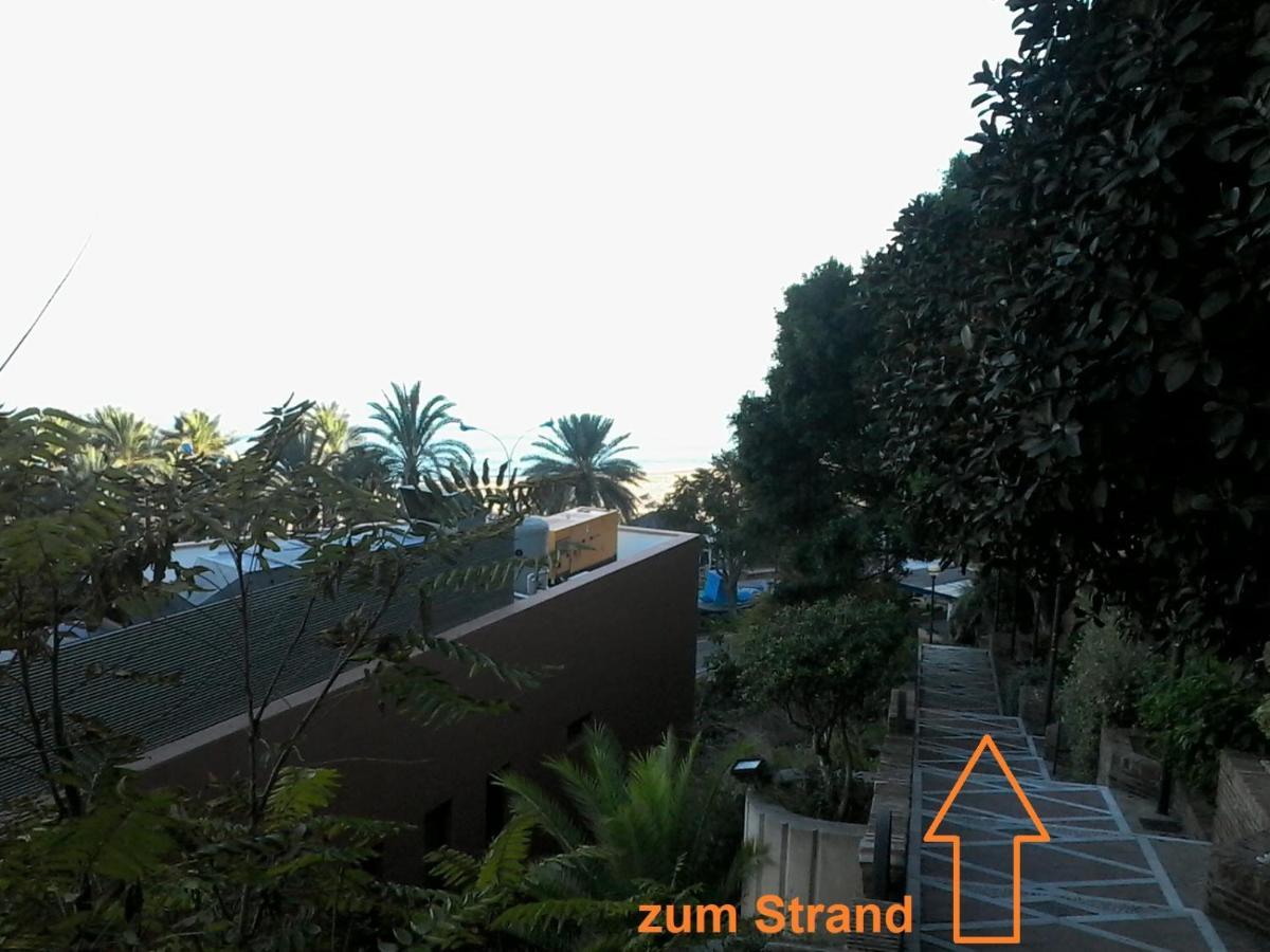 Estudio Costa Del Sol - 托雷莫利诺斯 外观 照片